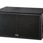 Loa siêu trầm đôi ERIC SW-215